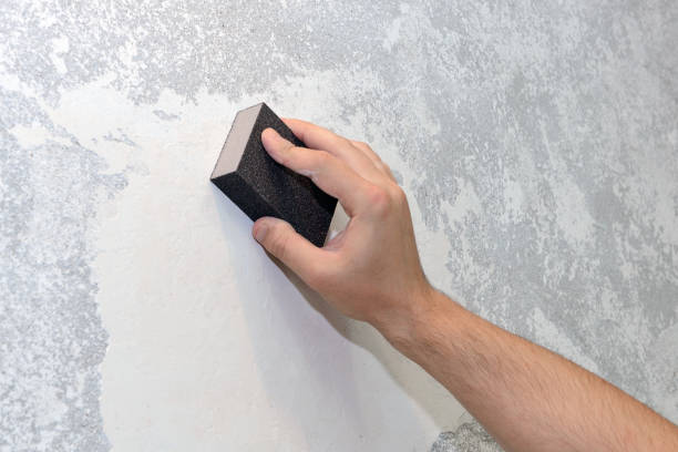 Best Commercial Mold Inspection  in Broadview Heights, OH