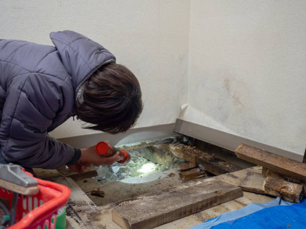 Best Biohazard Mold Removal  in Broadview Heights, OH