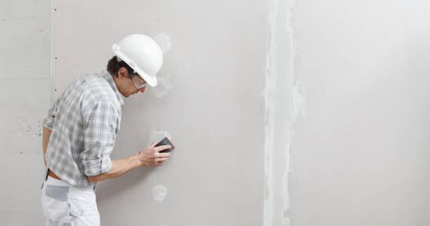 Best Basement Mold Removal  in Broadview Heights, OH