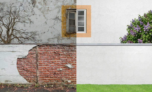 Best Black Mold Removal  in Broadview Heights, OH